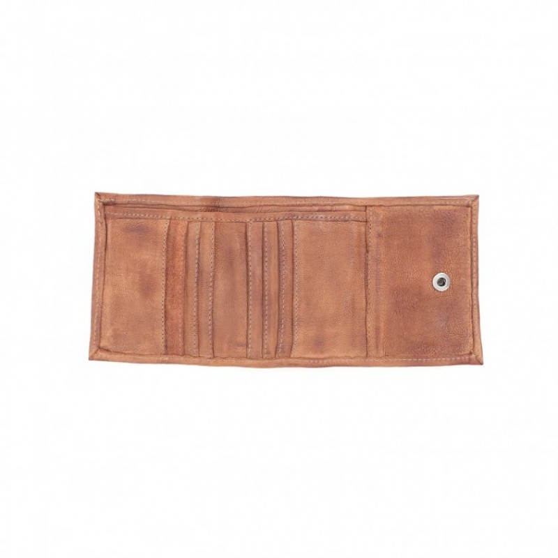 A.S.98 Cisco Novčanici Unisex Kaki Boja | SRB-687UEWVBG