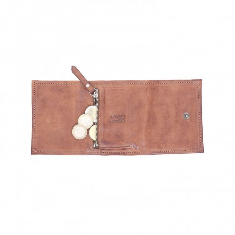 A.S.98 Cisco Novčanici Unisex Kaki Boja | SRB-687UEWVBG